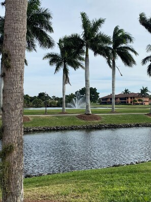 Property grounds - Cozy 2-bedroom condo in Tropic Schooner, Hammock Bay, Naples FL (Naples)