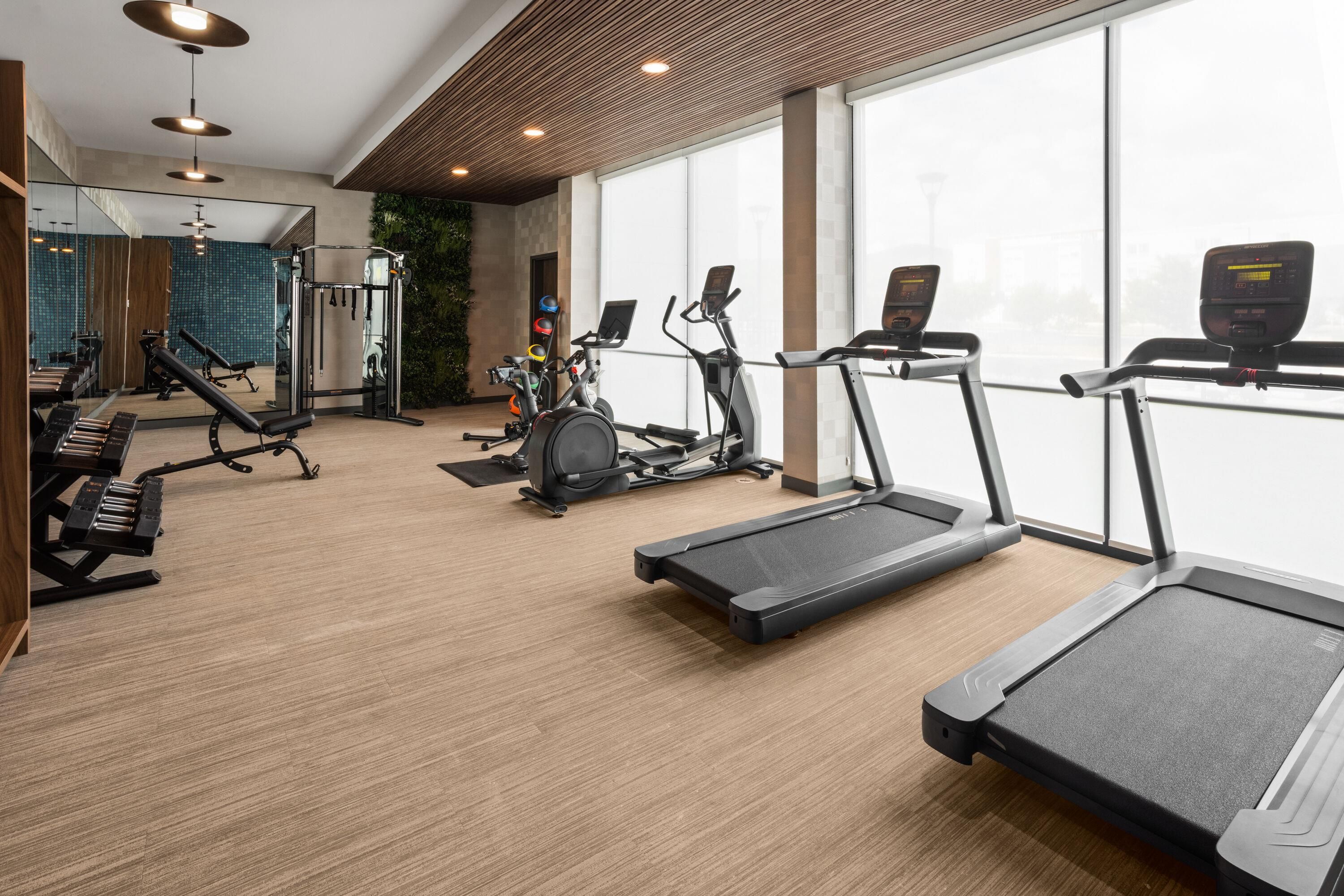 A gym with treadmills, a rowing machine, and a weight bench.