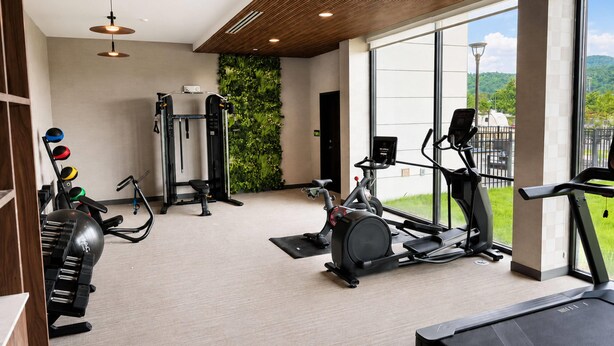 A gym with exercise equipment, a wall-mounted TV, and a large window offering a view of greenery. - La Quinta Inn & Suites By Wyndham Roanoke Hollins/I-81 (Roanoke)
