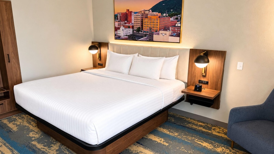 La Quinta Inn & Suites By Wyndham Roanoke Hollins/I-81