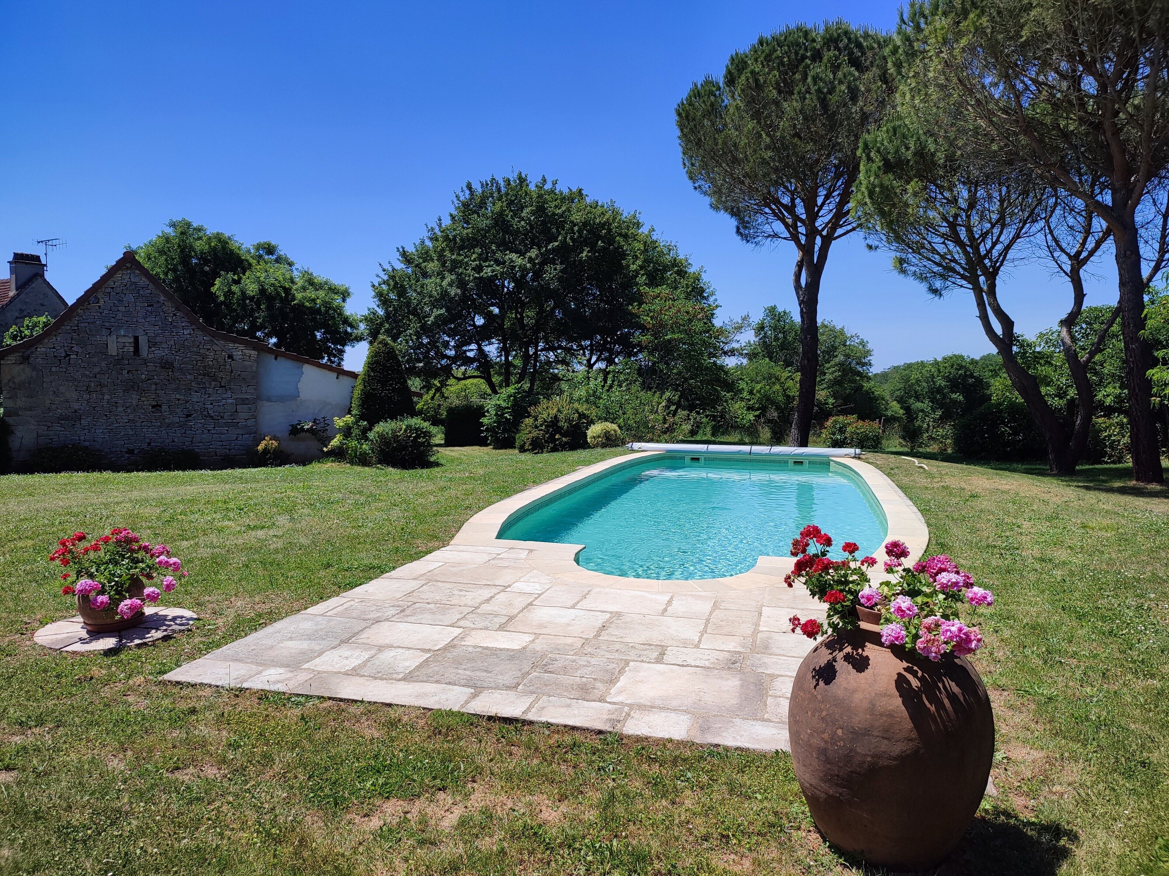 A swimming pool with a stone deck, surrounded by grass and trees.