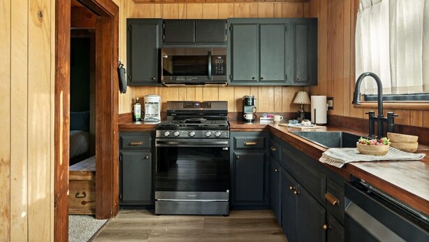 A compact kitchen with a stove, microwave, and dark cabinets. - The Silver Coyote, w/ Bear Mtn Views & Firepit (Big Bear Lake)