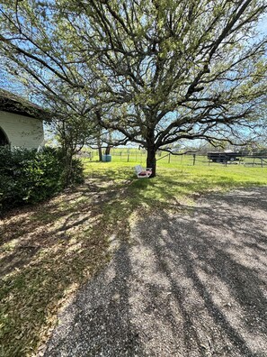 Terrein van de accommodatie