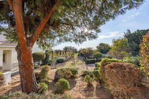 A garden with a large tree, various shrubs, and a building in the background. - Villa 151 Luxury Villa - Private Pool and Tennis Court (Kouklia)