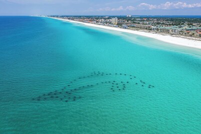 ⭐Walk 2 Beach-Great Location-Sleeps 6-2BR Sandprints C12⭐