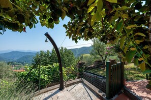 Ein Weinberg mit Blick auf ferne Berge, einem Metallzaun und einem Holztor.