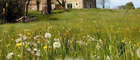 المنطقة المحيطة بالمنشأة