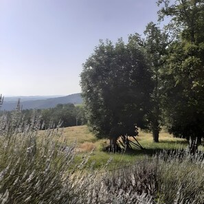 Property grounds - Gîte l'oustal del pastre (Alleuze)