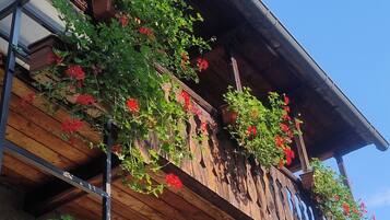 DĂ©tail de lâextĂ©rieur