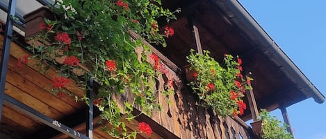 DĂ©tail de lâextĂ©rieur