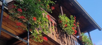 Cozy alpine house, in quaint mountain village