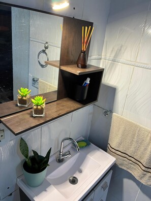 Une salle de bain avec un miroir, un lavabo et deux étagères ornées de plantes et d’une bouteille.