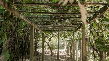 Cabana | Área da propriedade