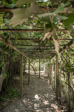 Casa rural familiar, accés a la piscina | Àrea exterior de l'allotjament