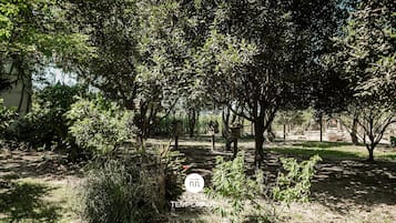 Cabin | Property grounds