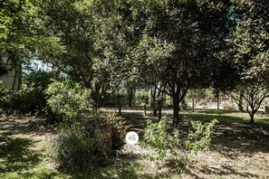 Cabin | Property grounds - Sítio Simon com Piscina Privativa - SC (Imbituba)