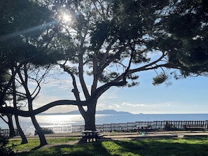 A park with a large tree, a bench, and a view of the sea. - ROOF VILLA WITH OCEAN VIEWS/BEACHES WITHIN WALKING DISTANCE (Carqueiranne)