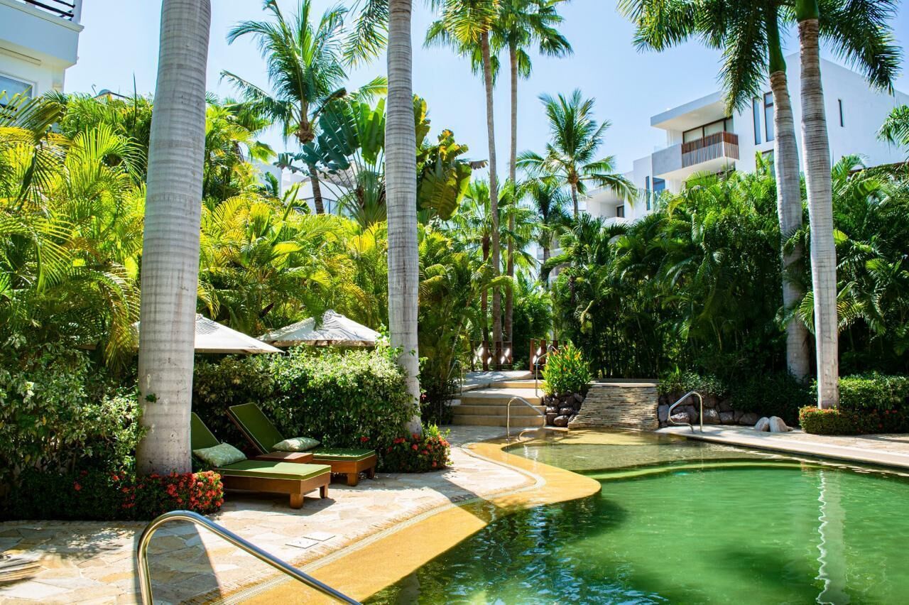 A pool area with lounge chairs, palm trees, and a clear pool.