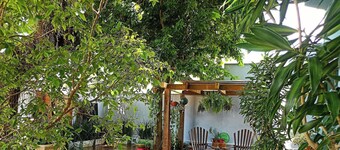 Pousada Solar das Petalas - FLN