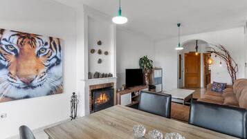 TV, fireplace