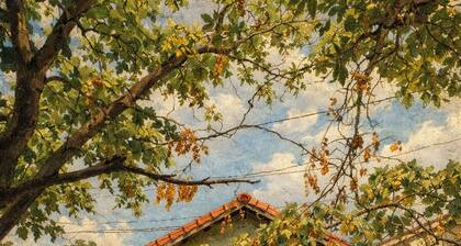 Chez Beliz Konuk Evi