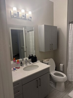 Hair dryer, towels, toilet paper - Charming 1-bedroom house with AC in peaceful Worcester (Worcester)