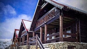 Uklassifisert bilde, 2 av 14, knapp