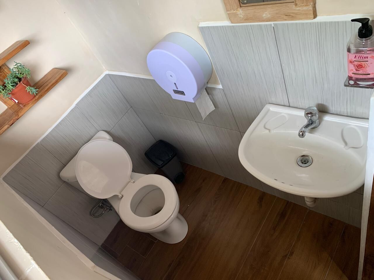 Un baño con inodoro, lavamanos, dispensador de toallas de papel, cubo de basura y una planta en maceta.