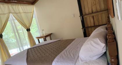 Butterfly and Bird Julio Tours-Ecolodge