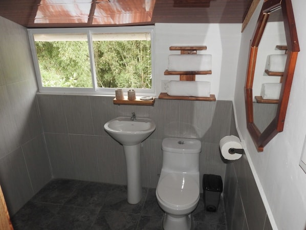 A bathroom with a sink, toilet, and window. - Butterfly and Bird Julio Tours-Ecolodge (Nanegal)
