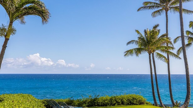 A clear view of the ocean, palm trees, and a grassy area with lounge chairs. - Topical ocean front 2-bedroom condo with AC in charming Koloa (Koloa)