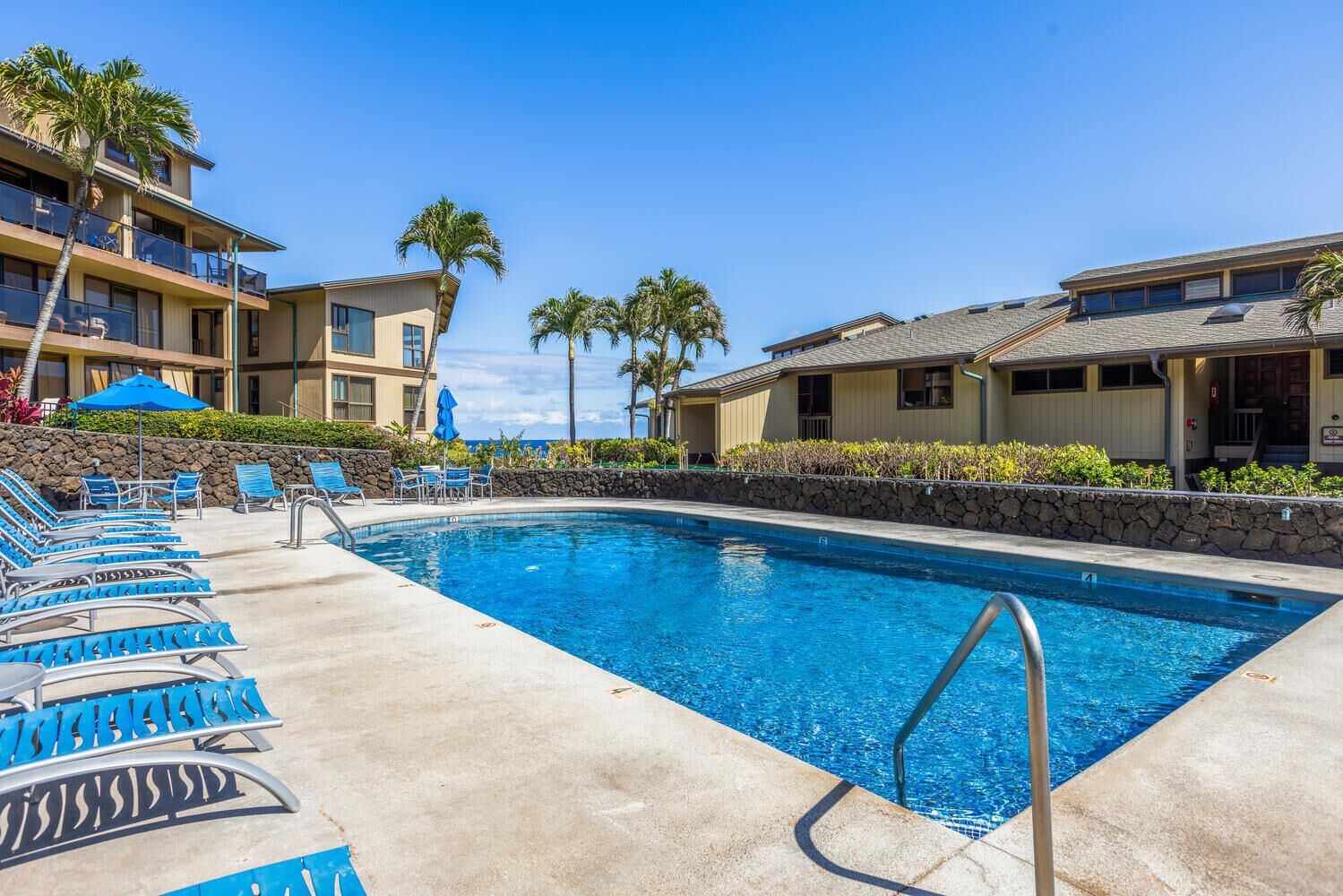 A swimming pool with lounge chairs and palm trees.