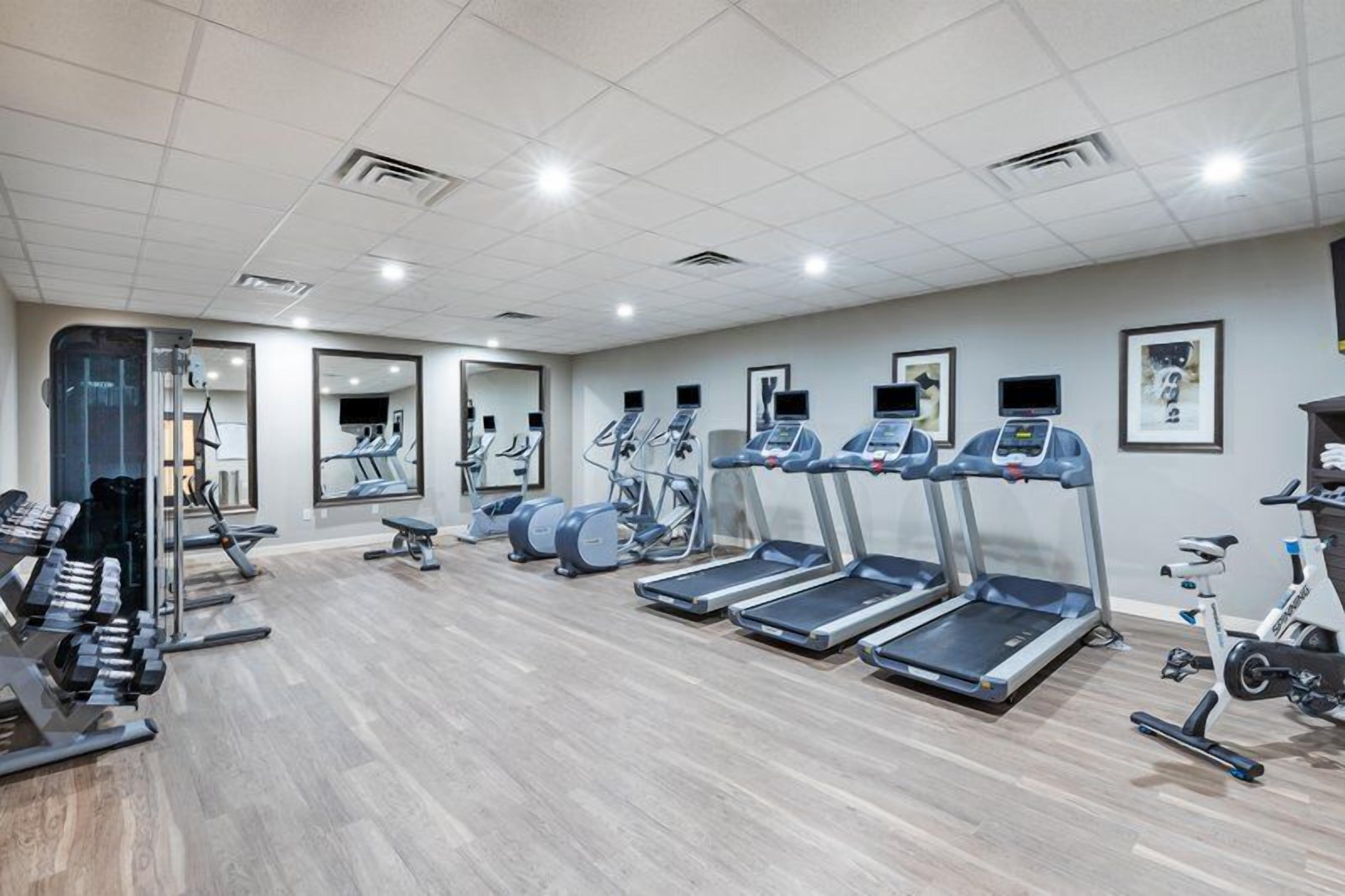 A gym with treadmills, elliptical machines, and free weights.