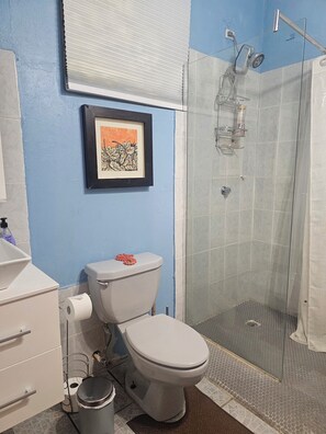 Shower, towels, toilet paper