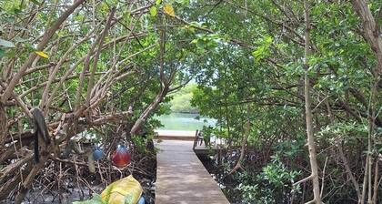 Sirena Apt: Prime Location in the Center of Town near Ferry, Beaches & Dining