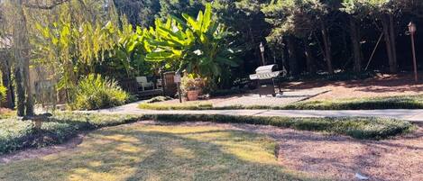 Un jardin aménagé avec une variété de plantes, un sentier et un espace barbecue.
