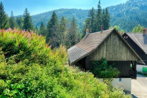 Front of property - Apartments pri fencu (Jesenice)