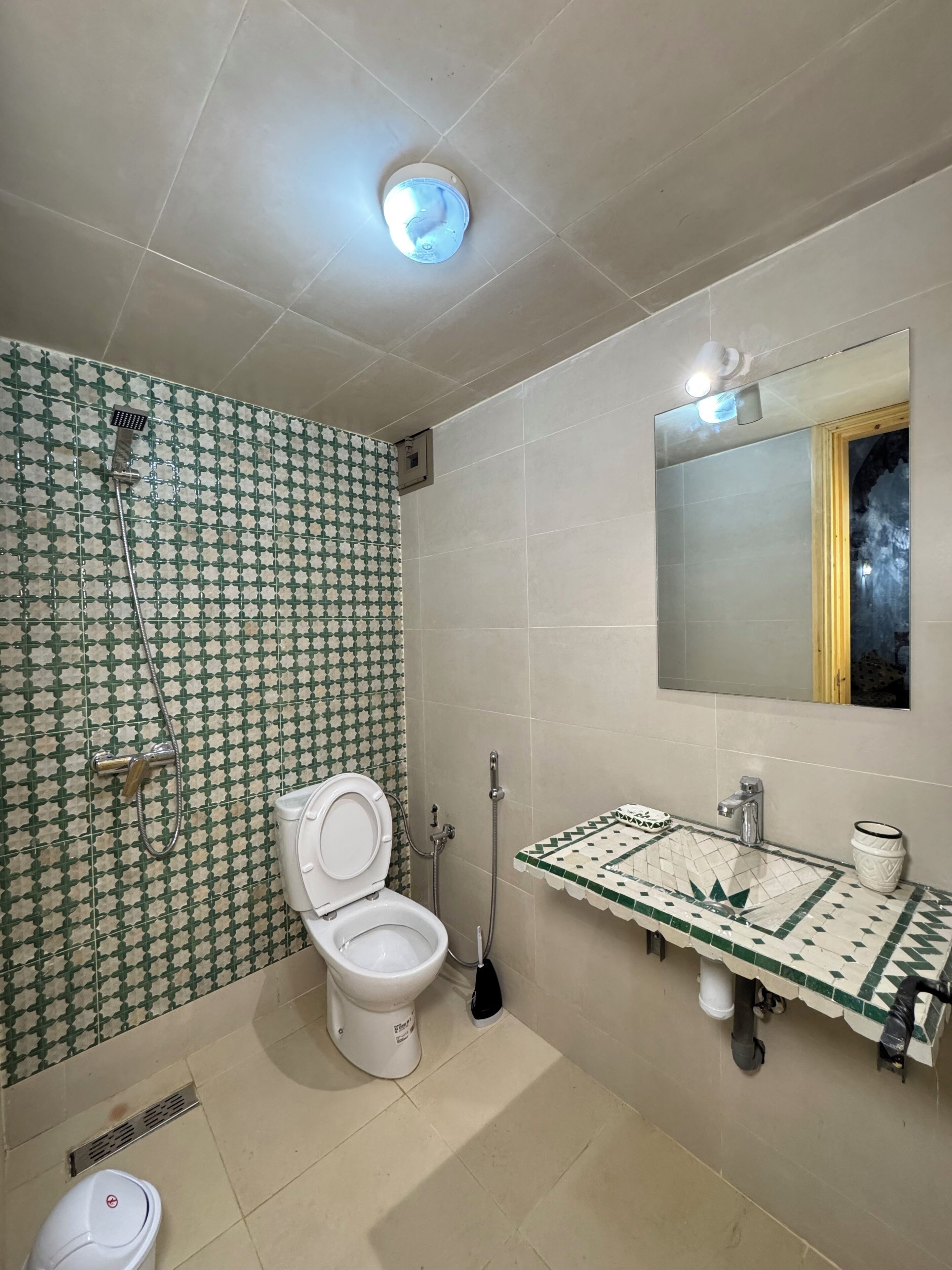Un baño con inodoro, ducha, lavabo y espejo.