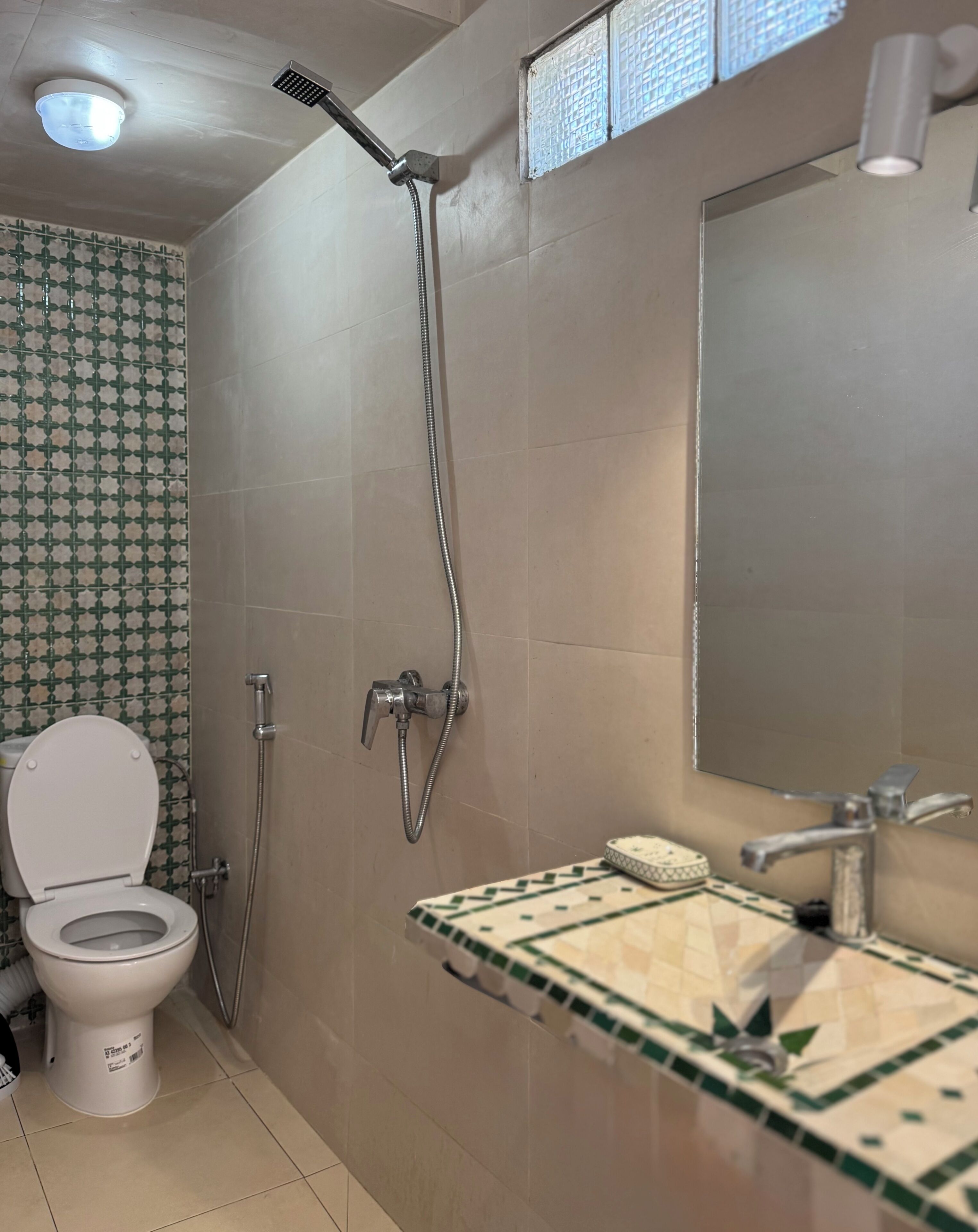 Un baño con inodoro, ducha con cabezal de ducha manual y lavabo con espejo.