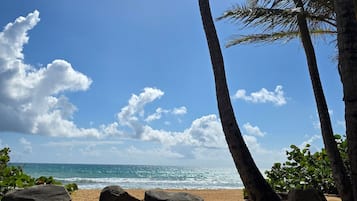 Una playa con palmeras, una orilla arenosa y el océano.