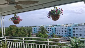 Un balcone con fioriere pensili, una pianta in vaso e vista su un complesso di edifici blu.