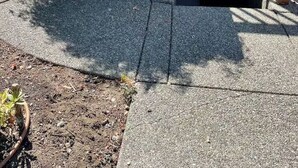 施設の敷地