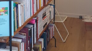 Une bibliothèque remplie de livres, un portrait encadré et un luminaire suspendu.