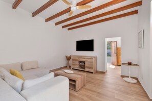 TV
