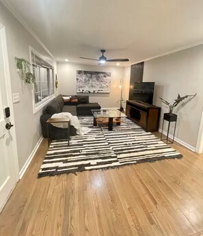 Living area - LUX Home - Centrally Located - only minutes to Norvant Health & Historic Salem (Winston-Salem)