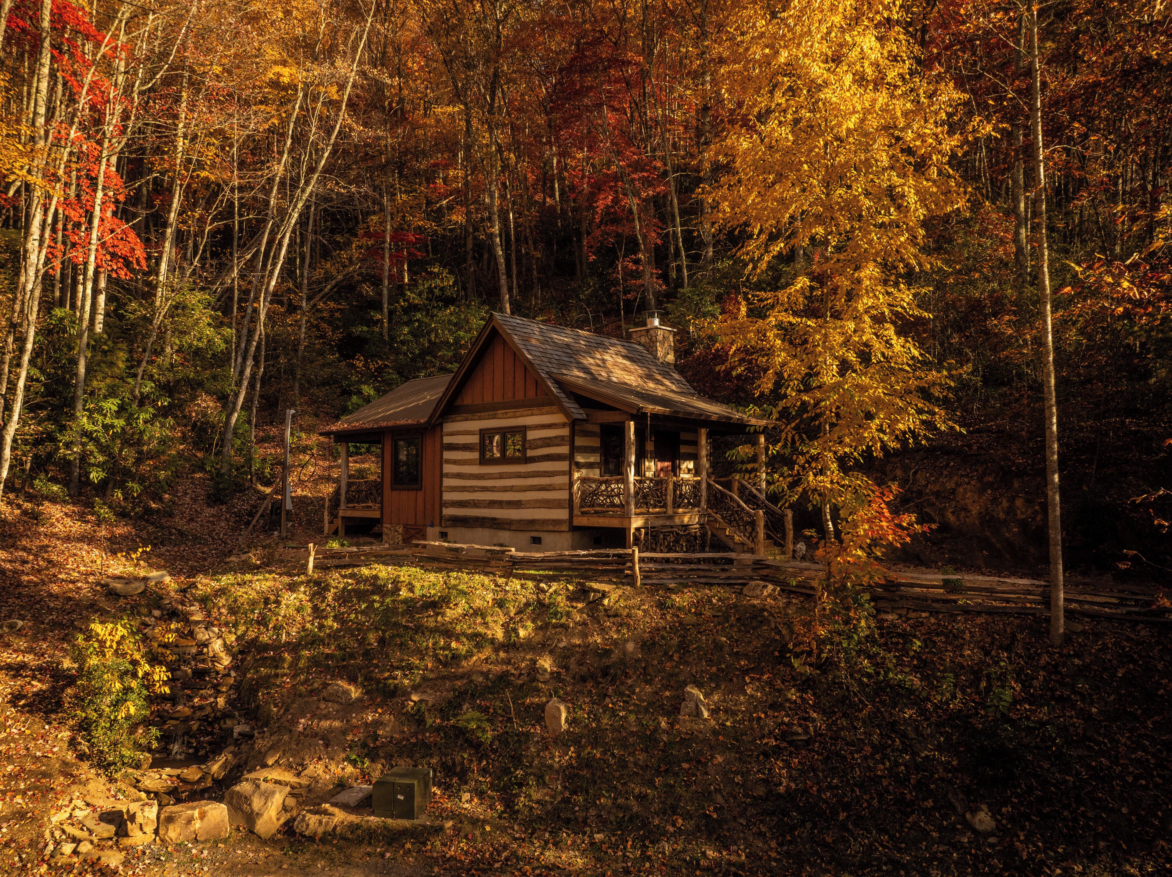 Forest view | Terrace/patio
