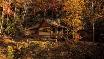 Forest view | Terrace/patio