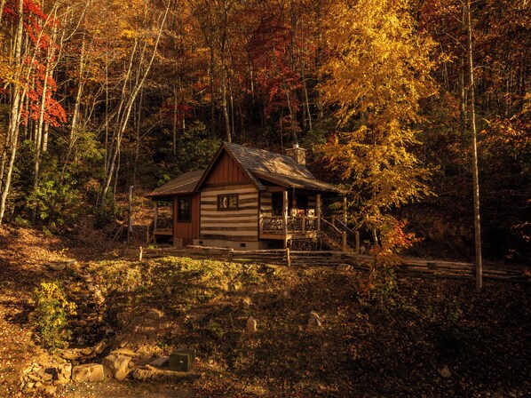 Forest view | Terrace/patio