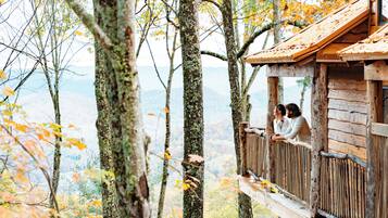 Hemlock | Mountain view