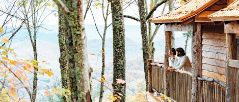 Hemlock | Mountain view